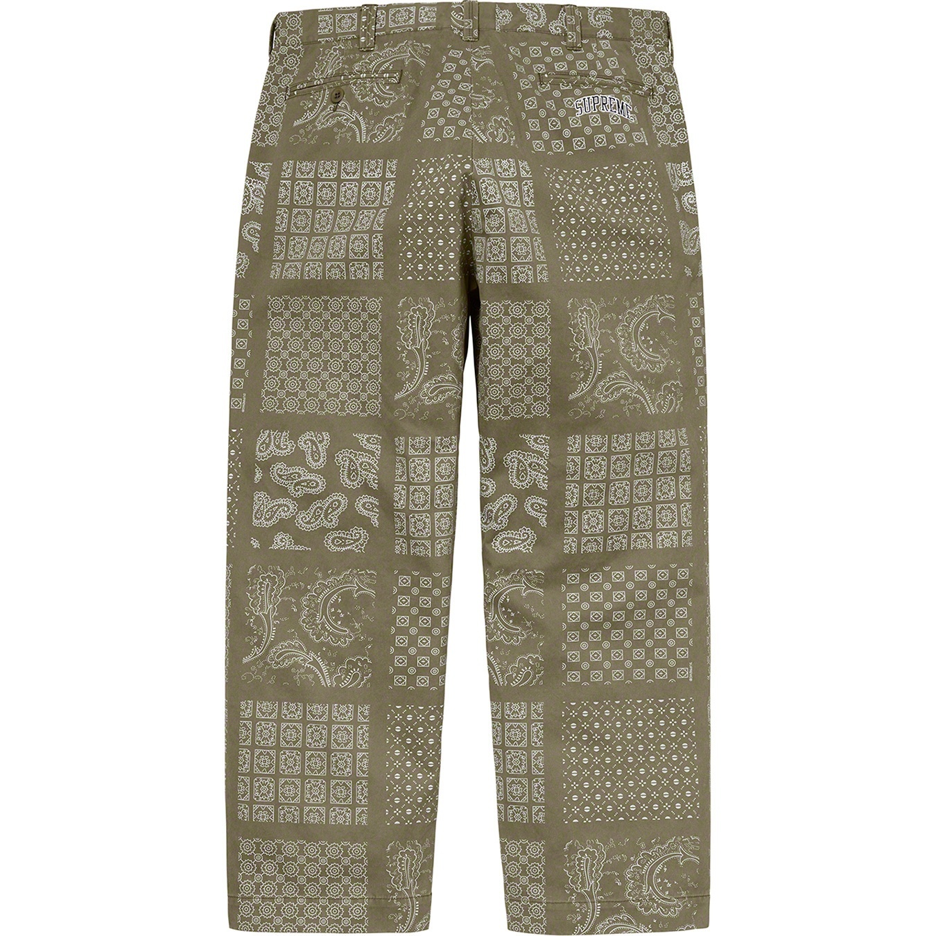 Paisley Grid Chino Pant view 9